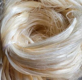 Banana Fiber